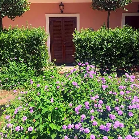 Martino Hotel 3*